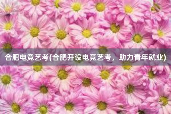 合肥电竞艺考(合肥开设电竞艺考，助力青年就业)