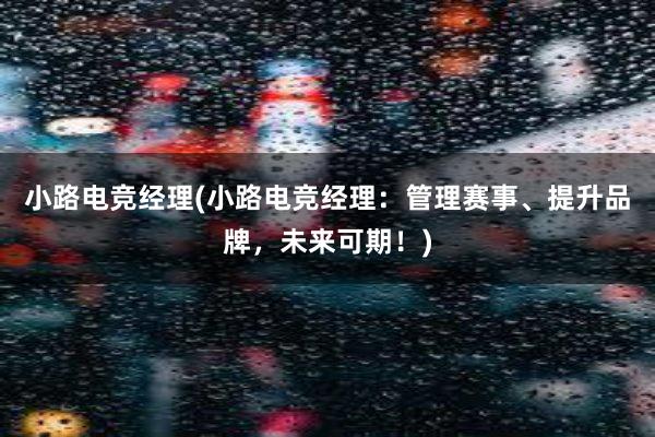 小路电竞经理(小路电竞经理：管理赛事、提升品牌，未来可期！)