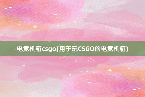 电竞机箱csgo(用于玩CSGO的电竞机箱)