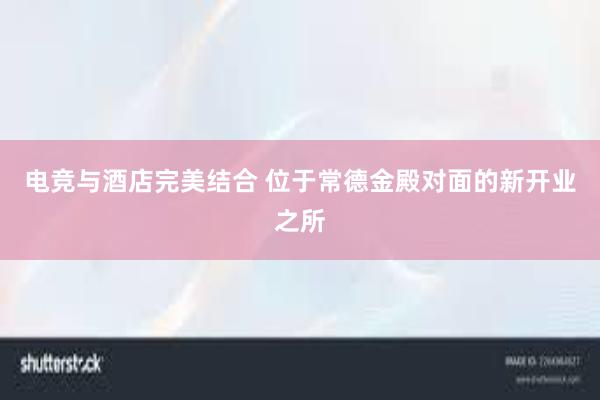 电竞与酒店完美结合 位于常德金殿对面的新开业之所