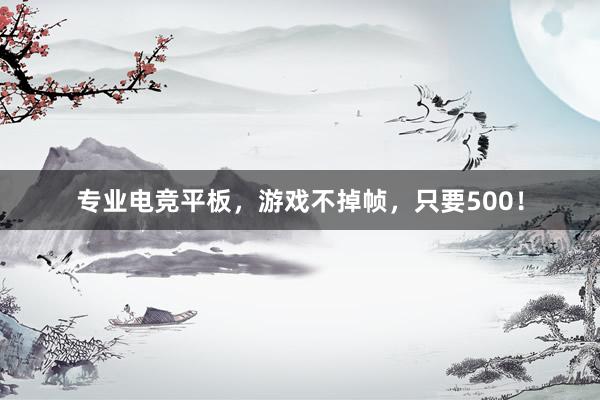 专业电竞平板，游戏不掉帧，只要500！