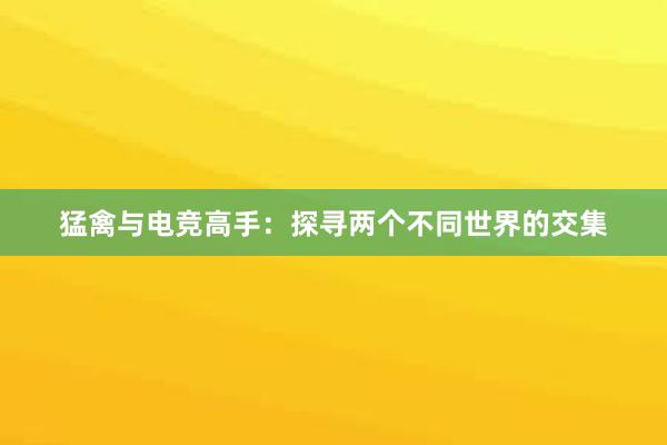 猛禽与电竞高手：探寻两个不同世界的交集