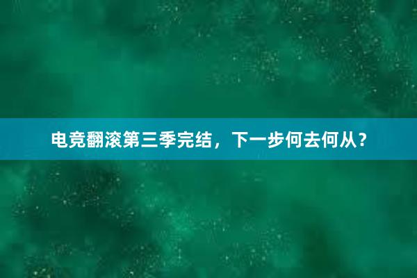 电竞翻滚第三季完结，下一步何去何从？