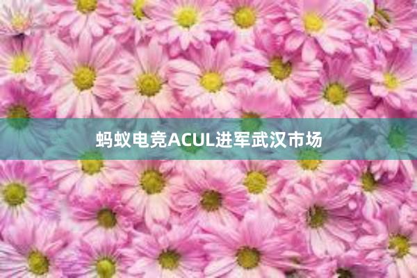 蚂蚁电竞ACUL进军武汉市场