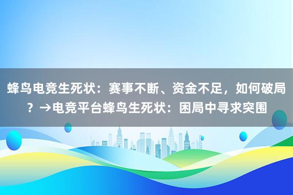蜂鸟电竞生死状：赛事不断、资金不足，如何破局？→电竞平台蜂鸟生死状：困局中寻求突围
