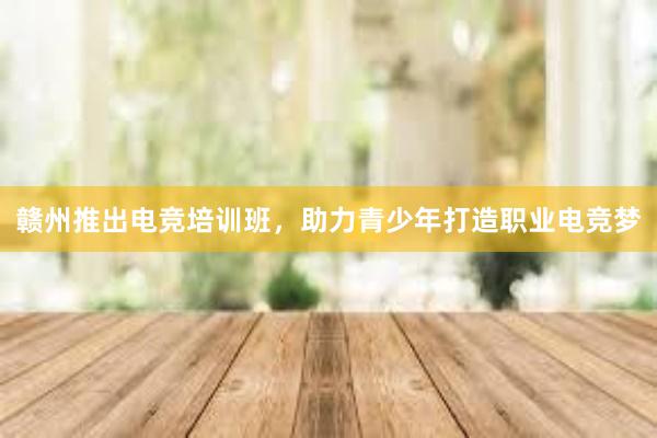 赣州推出电竞培训班，助力青少年打造职业电竞梦